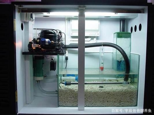 象州金龍水族坊（象州金龍水族坊地址）