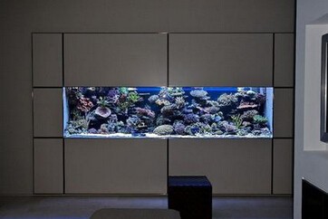 錫林浩特市藍世界水族館（錫林浩特市藍世界水族館電話號碼）