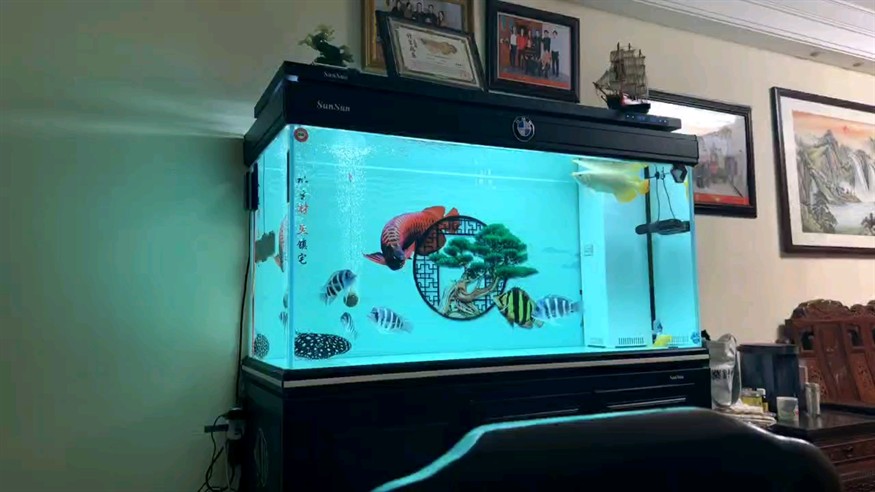 狀態桿桿的
