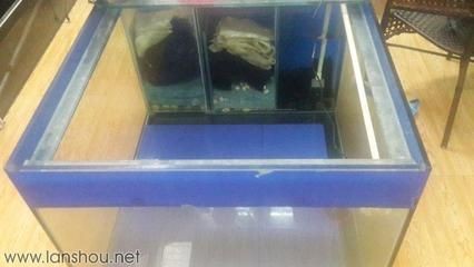 玻璃制作魚缸過濾槽：自制魚缸上過濾槽的制作材料和步驟