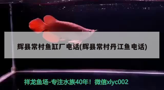 輝縣常村魚缸廠電話(輝縣常村丹江魚電話)