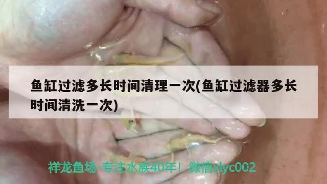 魚缸過濾多長時間清理一次(魚缸過濾器多長時間清洗一次)
