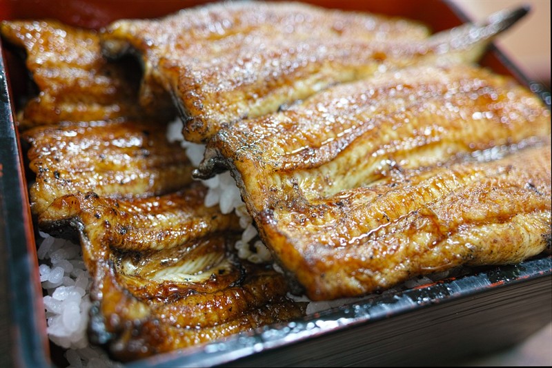 銀龍魚魚缸溫度多少合適喂食物(飼養銀龍魚需要水溫多少為好)