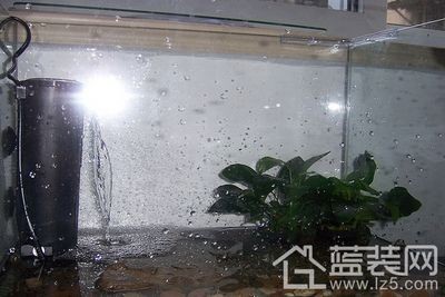 比較好的魚缸過濾器品牌排行榜：2024年魚缸過濾器品牌排行榜2024年魚缸過濾器品牌排名
