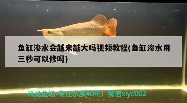 魚(yú)缸滲水會(huì)越來(lái)越大嗎視頻教程(魚(yú)缸滲水用三秒可以修嗎)