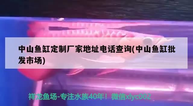 水族器材 中山魚(yú)缸定制廠家地址電話(huà)查詢(xún)(中山魚(yú)缸批發(fā)市場(chǎng)) 森森魚(yú)缸 中山魚(yú)缸定制廠家地址電話(huà)查詢(xún)(中山魚(yú)缸批發(fā)市場(chǎng)) 中山魚(yú)缸定制廠家地址電話(huà)查詢(xún)(中山魚(yú)缸批發(fā)市場(chǎng)) 森森魚(yú)缸