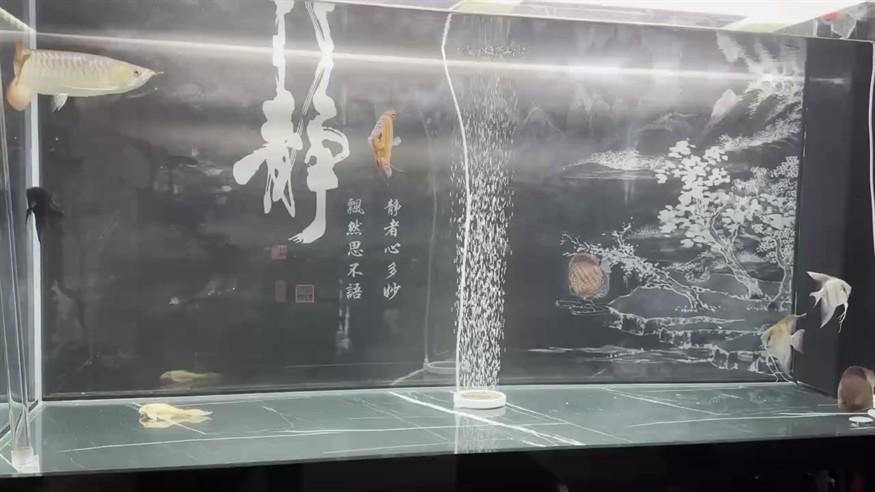 如何查詢《龍魚傳》其他章節(jié)字?jǐn)?shù)：掌握龍魚傳其他章節(jié)字?jǐn)?shù)的秘訣
