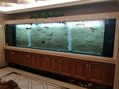 大型亞克力魚缸定做：關(guān)于大型亞克力魚缸定做的信息