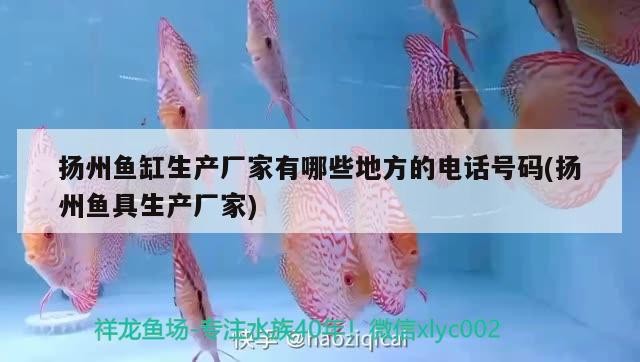 揚州魚缸生產廠家有哪些地方的電話號碼(揚州魚具生產廠家)