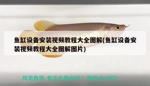 魚缸設備安裝視頻教程大全圖解(魚缸設備安裝視頻教程大全圖解圖片)