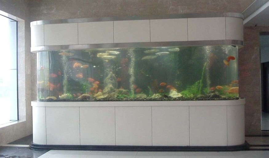 玻璃魚缸劃痕怎么處理視頻：如何處理玻璃魚缸劃痕