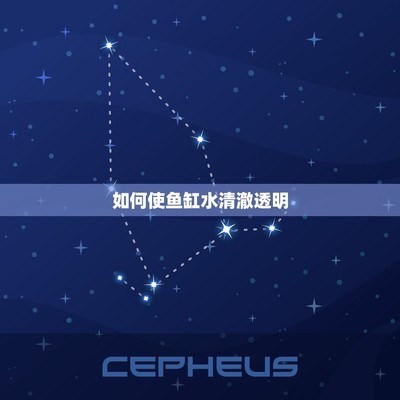 森森he480吸魚（森森he480吸魚怎么辦）