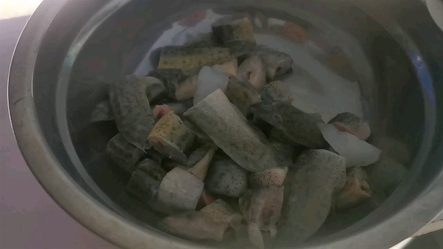 正常喂食