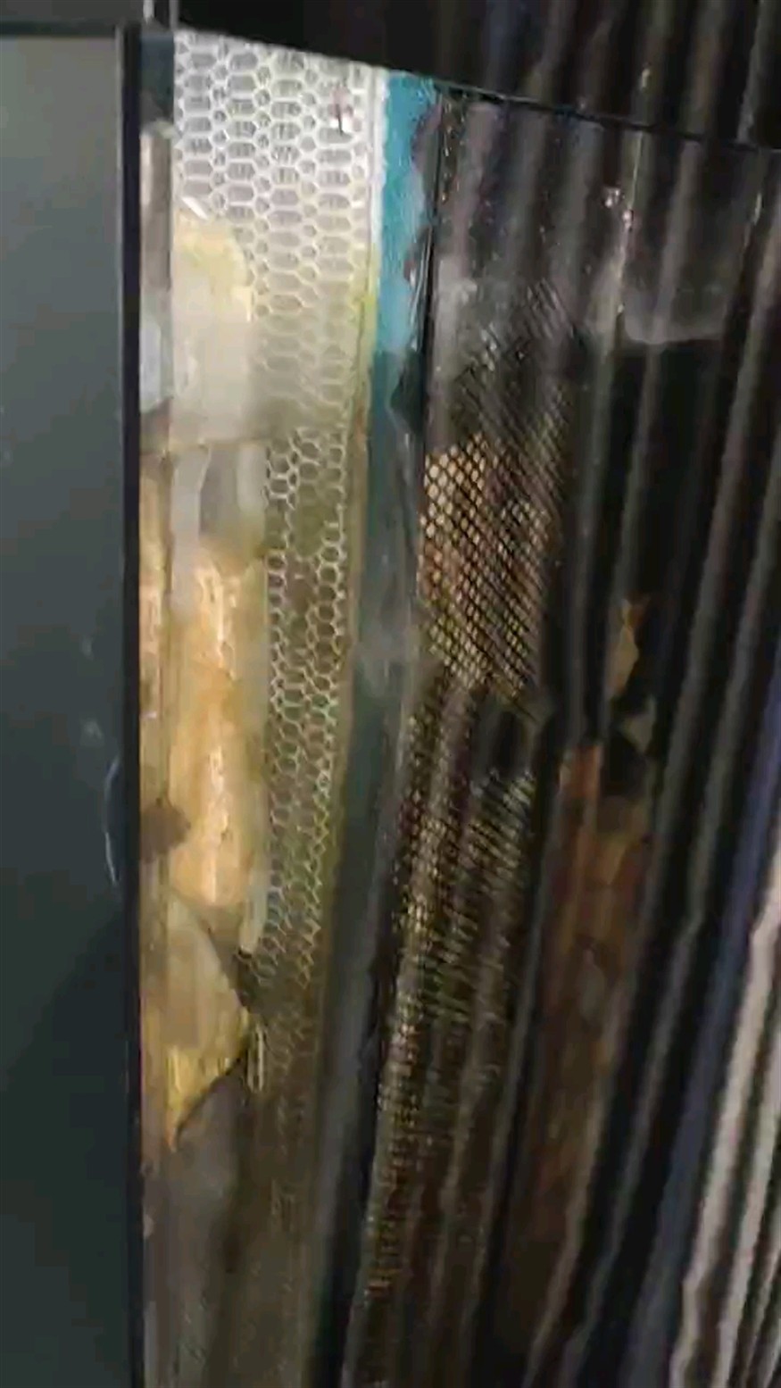 沉淀一體過濾箱