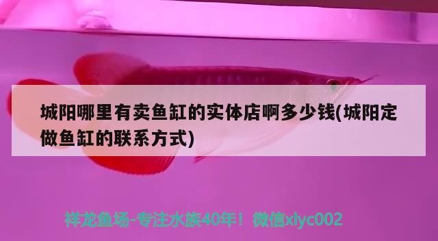 城陽哪里有賣魚缸的實體店啊多少錢(城陽定做魚缸的聯系方式)