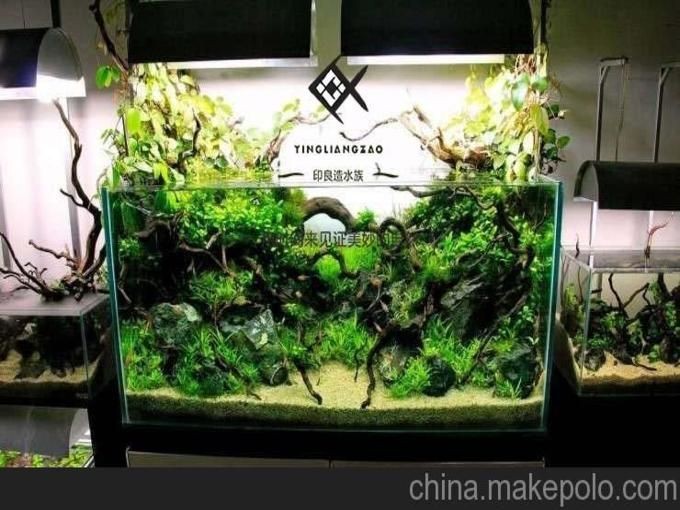 lianglai是什么魚缸品牌lianglai是什么魚缸品牌（laguifa魚缸什么牌子）：laguifa,是一個魚缸品牌嗎