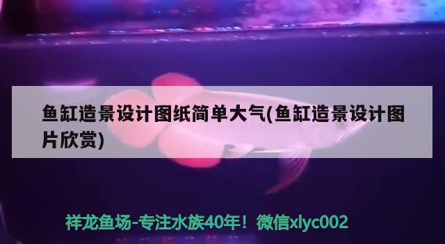 魚缸造景設計圖紙簡單大氣(魚缸造景設計圖片欣賞)