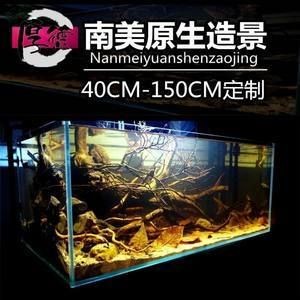 沉木魚缸養(yǎng)什么魚好看又好養(yǎng)：沉木魚缸適合養(yǎng)哪些魚，