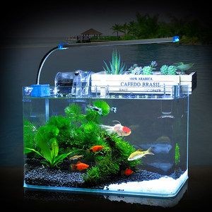 便宜的魚缸造景多少錢一平方：魚缸造景價格多少錢？