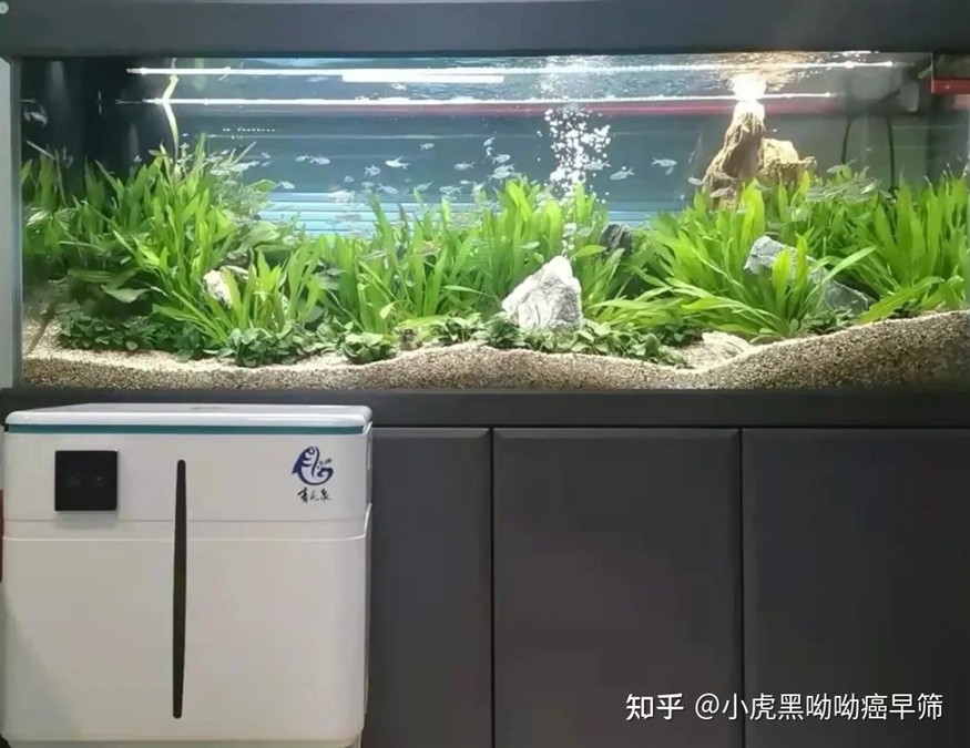 大魚(yú)缸用什么過(guò)濾：大魚(yú)缸過(guò)濾器的選擇和使用魚(yú)缸的選擇和使用魚(yú)缸過(guò)濾器的選擇
