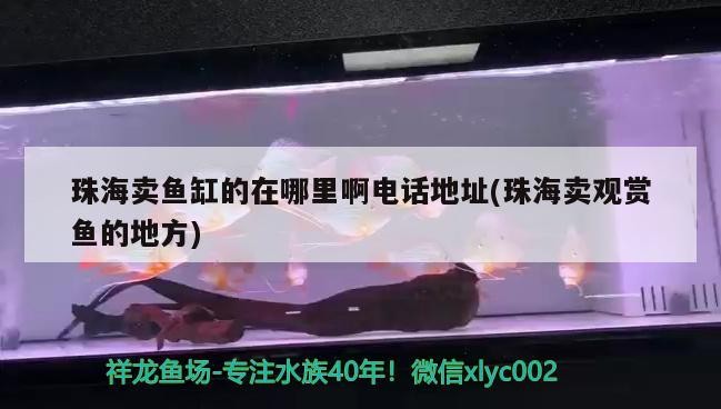 <strong><mark>珠海</mark></strong>賣魚缸的在哪里啊電話地址(<strong><mark>珠海</mark></strong>賣觀賞魚的地方)