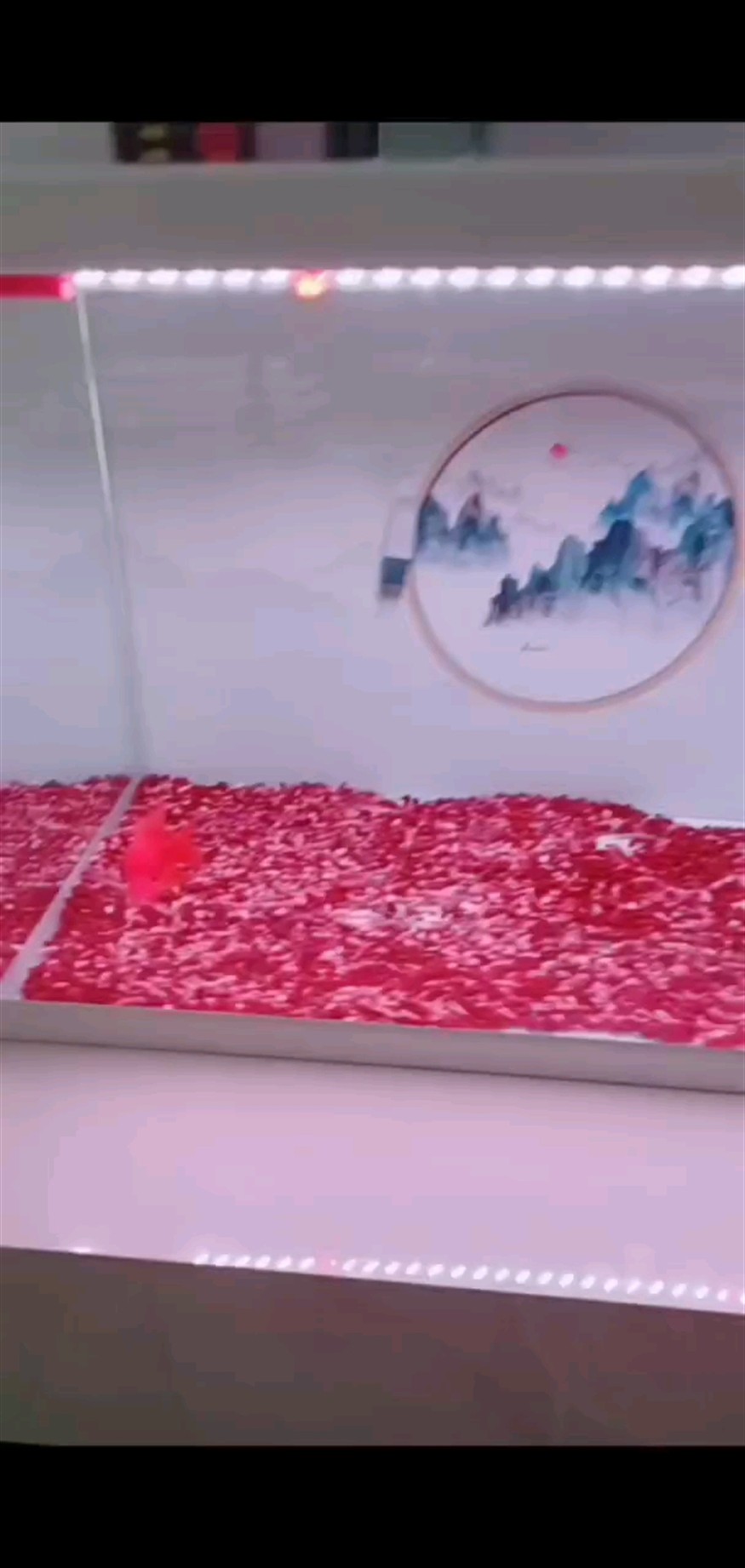 十六天