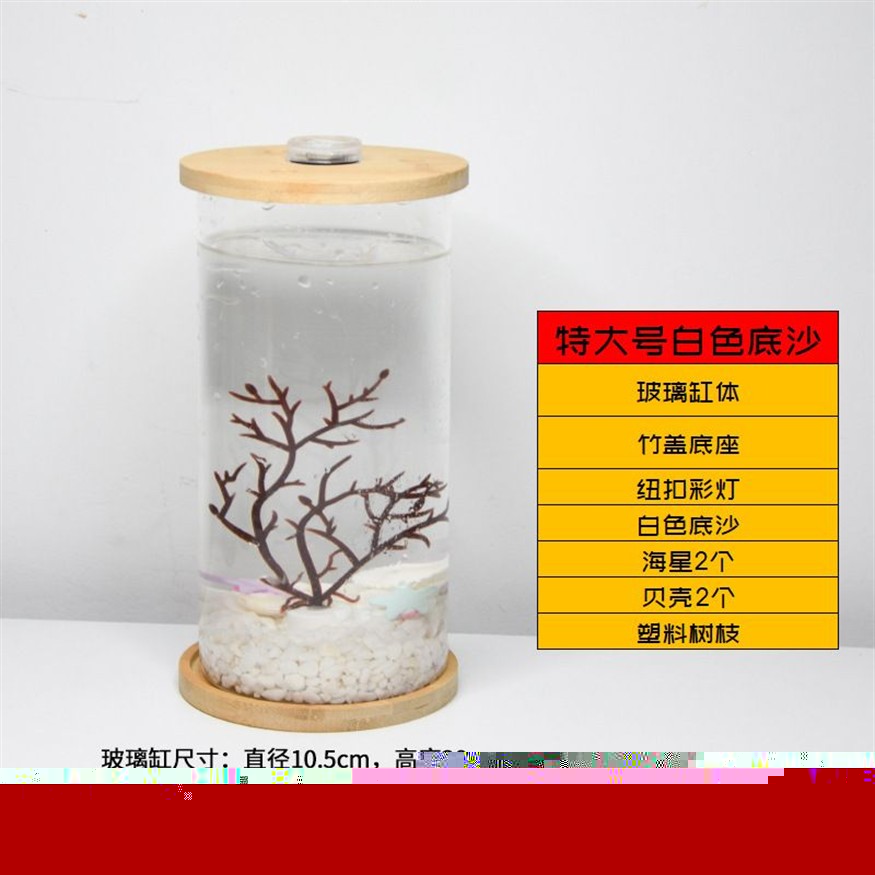 斗魚缸鋪什么底沙比較好：斗魚缸底沙的養護技巧了解如何正確養護魚缸底沙的養護技巧