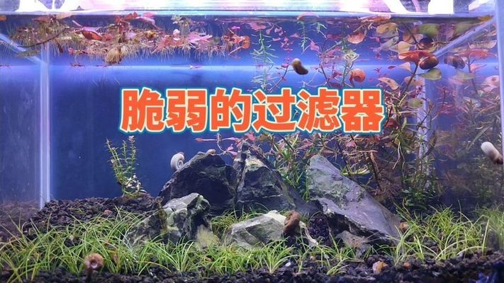 興和縣滿堂花卉店（興和縣滿堂花卉店電話）
