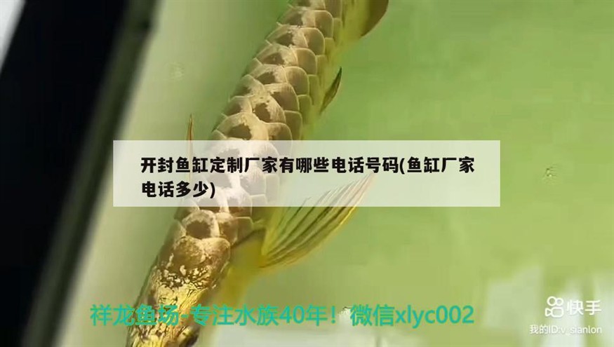 開封魚缸定制廠家有哪些電話號碼(魚缸廠家電話多少)