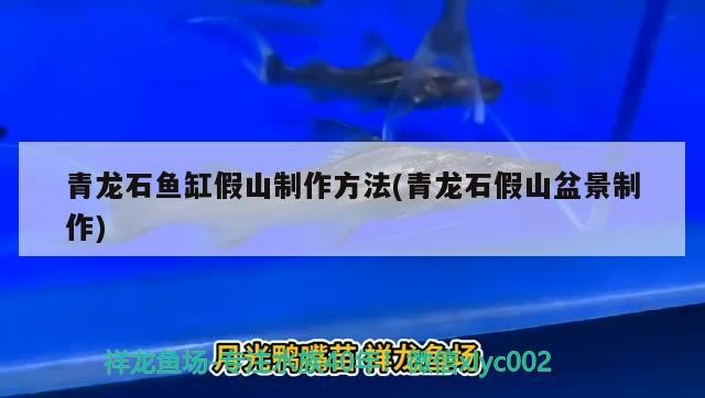 青龍石魚缸假山制作方法(青龍石假山盆景制作)