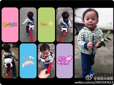 森森的微博：根據搜索結果整理一些森森的微博賬號