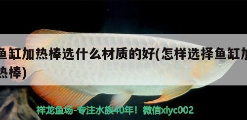 魚缸加熱棒選什么材質的好(怎樣選擇魚缸加熱棒)