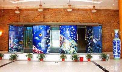 單縣哪里有賣魚缸的市場啊：單縣奧樂魚缸加工店