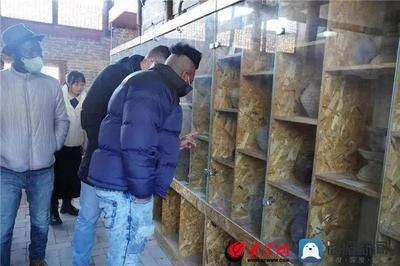 單縣哪里有賣魚缸的市場啊：單縣奧樂魚缸加工店