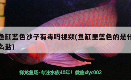 魚缸藍(lán)色沙子有毒嗎視頻(魚缸里藍(lán)色的是什么鹽)