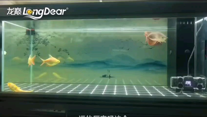 轉發177