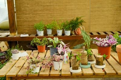 北陽臺室外放魚缸有什么講究:陽臺魚缸擺放的風水方位