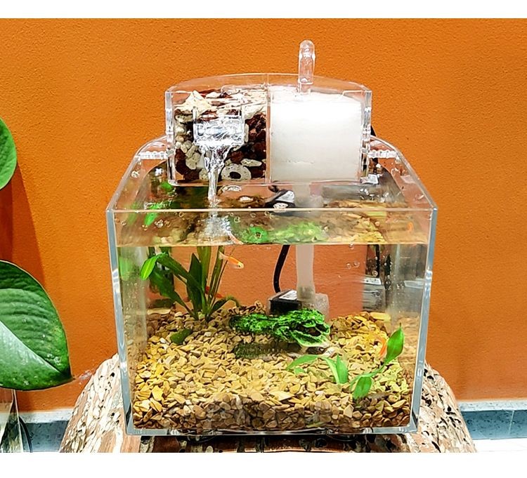 多大魚缸造景好呢：如何選擇合適的魚缸尺寸