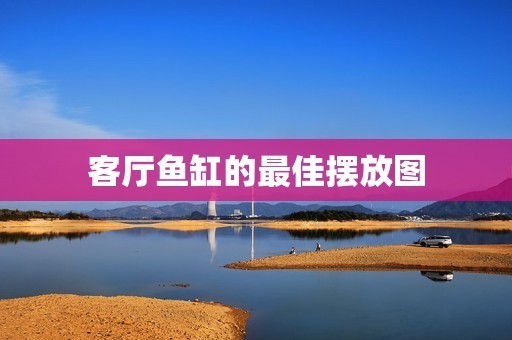 紅龍魚多少錢一條?（印尼紅龍魚多少錢一條）