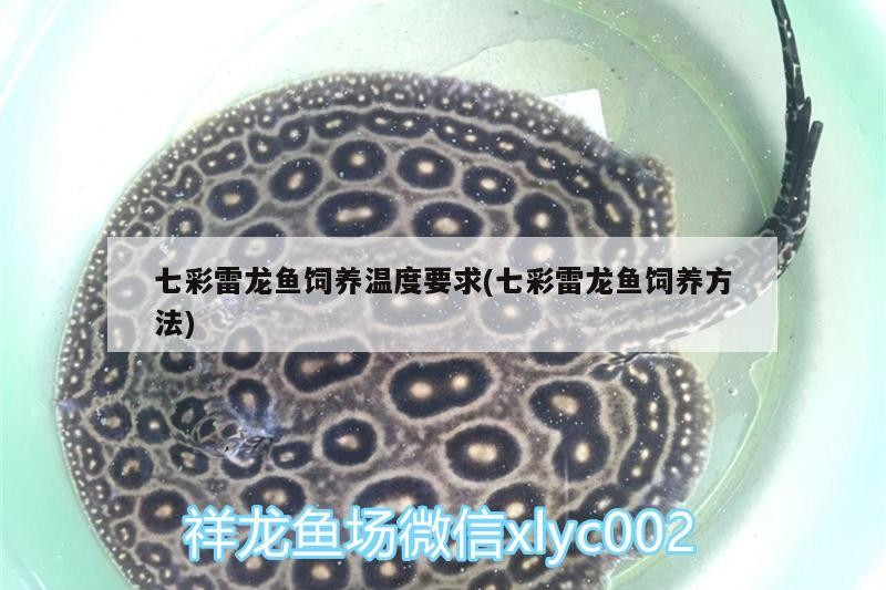 七彩雷龍魚(yú)飼養(yǎng)溫度要求(七彩雷龍魚(yú)飼養(yǎng)方法)