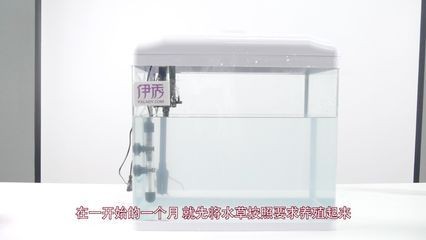 北方魚缸水草怎么養殖：北方養殖魚缸水草需要注意什么？