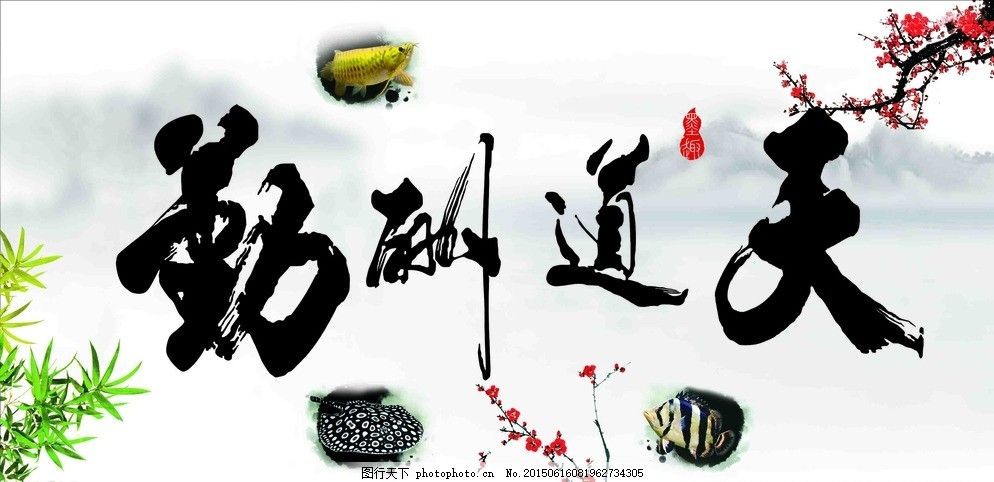 白色魚缸背景圖高清：如何選擇合適的白色魚缸背景圖