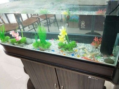 搬新家舊魚缸怎么處理的：墊把魚缸包著搬家時，舊魚缸的處理需要考慮風水和實用性