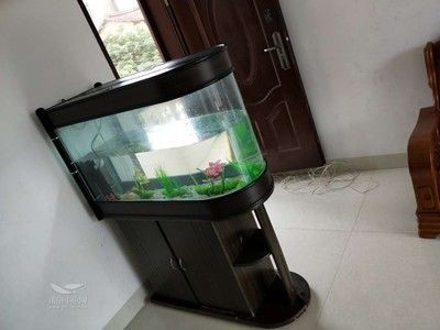 搬新家舊魚缸怎么處理的：墊把魚缸包著搬家時，舊魚缸的處理需要考慮風水和實用性