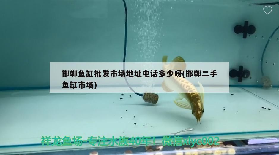 邯鄲魚(yú)缸批發(fā)市場(chǎng)地址電話多少呀(邯鄲二手魚(yú)缸市場(chǎng))