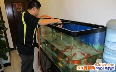 搬家魚缸和魚怎么處理干凈：搬家魚缸搬家注意事項在魚缸搬運過程中需要注意什么
