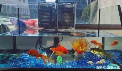 森森HYWT無邊框大魚缸（森森無邊框魚缸最新款）