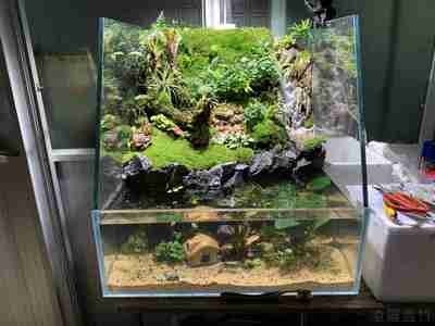 更佳常益益生菌(益什么佳益生菌)