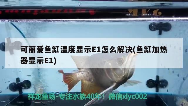 營口市鲅魚圈區熊岳鎮魚來魚往水族館（魚來魚往火鍋加盟）