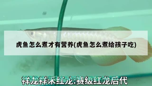 虎魚(yú)怎么煮才有營(yíng)養(yǎng)(虎魚(yú)怎么煮給孩子吃)